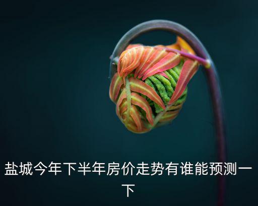 鹽城今年下半年房價走勢有誰能預測一下