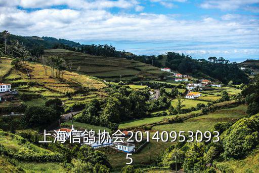 上海市信鴿協會2019超遠程，上海市閔行區信鴿協會地址在哪