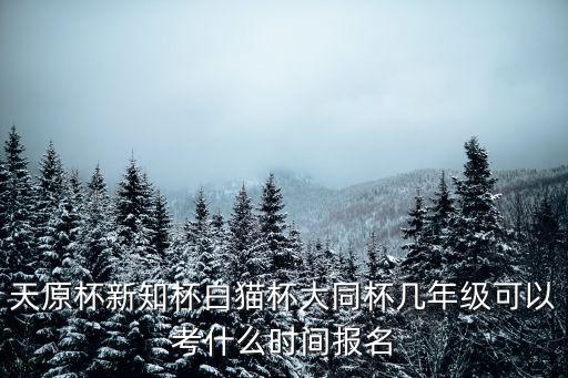 天原杯新知杯白貓杯大同杯幾年級(jí)可以考什么時(shí)間報(bào)名