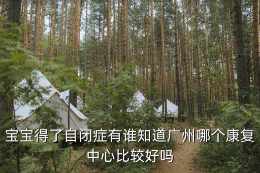 寶寶得了自閉癥有誰知道廣州哪個康復(fù)中心比較好嗎