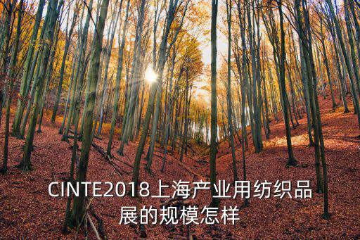 上海市2018十大刑偵標兵，想在上海當(dāng)刑警哪個大學(xué)出來機會最大