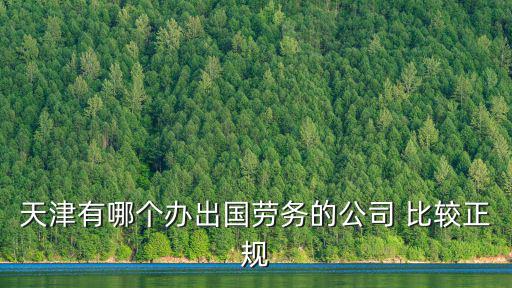 天津有哪個辦出國勞務的公司 比較正規