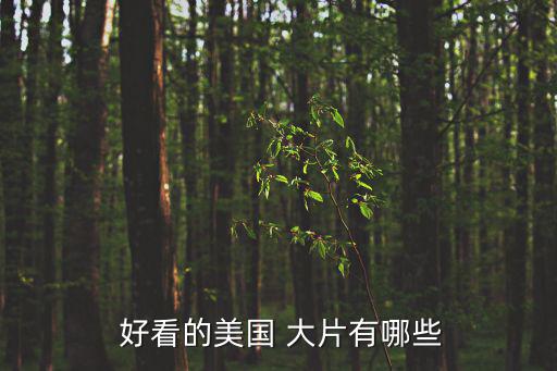 好看的大片,美國電影以國家分類:世界上最大的電影強國