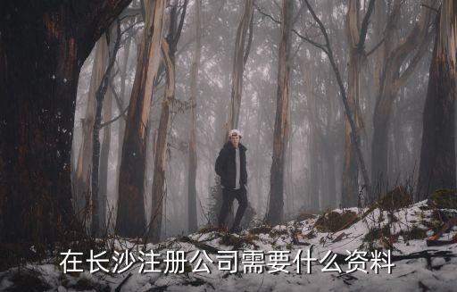 在長沙注冊公司需要什么資料