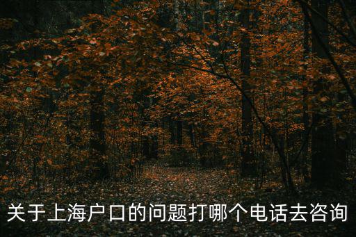 上海市戶籍政策咨詢電話，關(guān)于上海戶口的問(wèn)題打哪個(gè)電話去咨詢