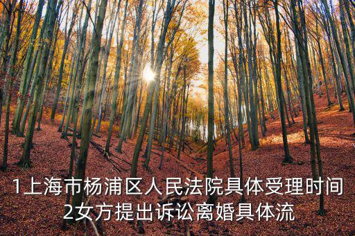 1上海市楊浦區(qū)人民法院具體受理時間 2女方提出訴訟離婚具體流