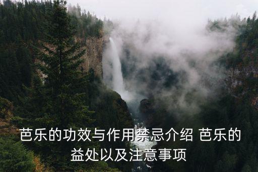 芭樂的功效與作用,三高人士應該吃芭樂