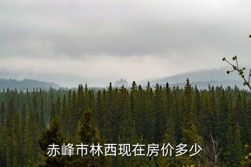 赤峰市林西現在房價多少