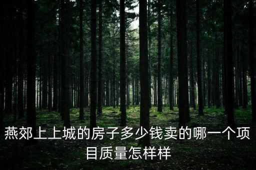 燕郊上上城的房子多少錢賣的哪一個項目質(zhì)量怎樣樣