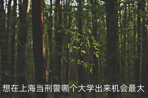 想在上海當(dāng)刑警哪個大學(xué)出來機會最大