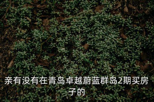 親有沒有在青島卓越蔚藍(lán)群島2期買房子的