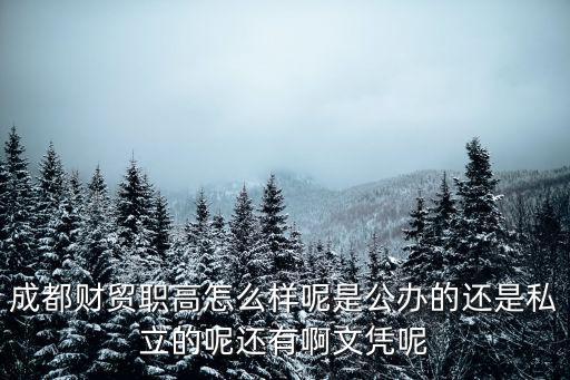成都財(cái)貿(mào)職高怎么樣呢是公辦的還是私立的呢還有啊文憑呢