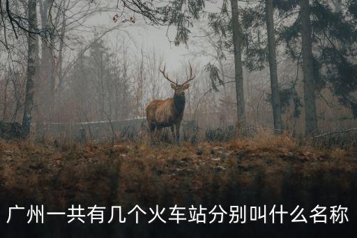 廣州一共有幾個火車站分別叫什么名稱
