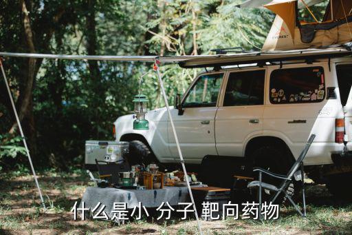 什么是小 分子 靶向藥物
