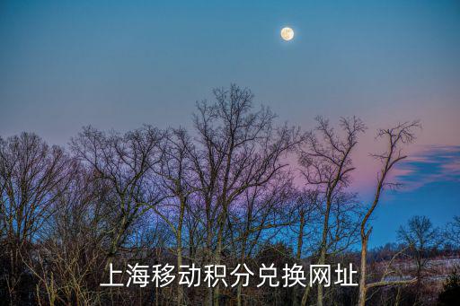 上海移動(dòng)積分兌換網(wǎng)址