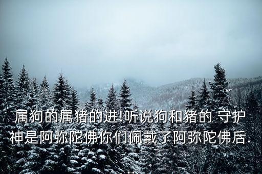 屬狗的屬豬的進(jìn)!聽說狗和豬的 守護(hù)神是阿彌陀佛你們佩戴了阿彌陀佛后...