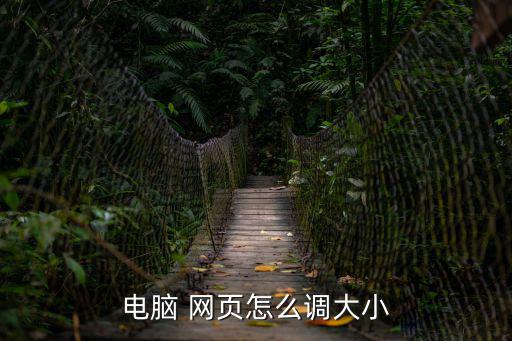 電腦 網頁怎么調大小