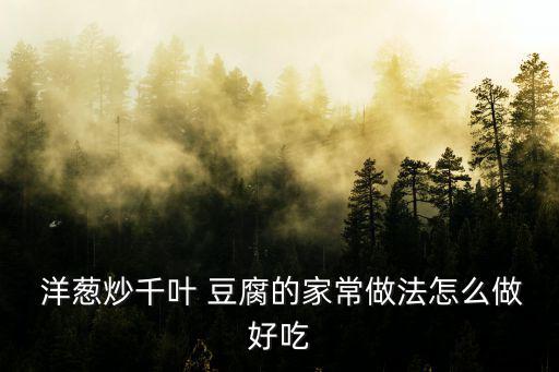 洋蔥燒豆腐,第二集