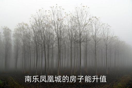 南樂鳳凰城的房子能升值
