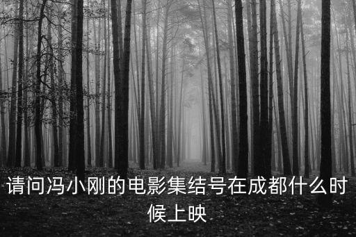 請問馮小剛的電影集結號在成都什么時候上映