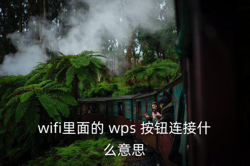 wps按鈕,如何找到wpsformat按鈕?