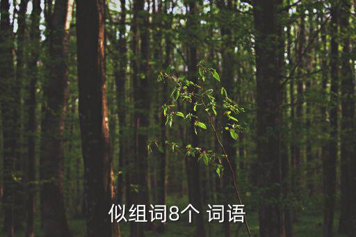 似組詞8個(gè) 詞語