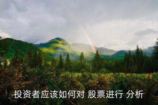 投資者應該如何對 股票進行 分析