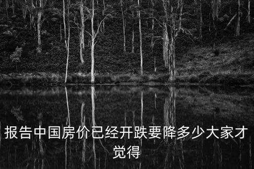報(bào)告中國房價已經(jīng)開跌要降多少大家才覺得