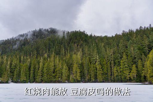  紅燒肉能放 豆腐皮嗎的做法