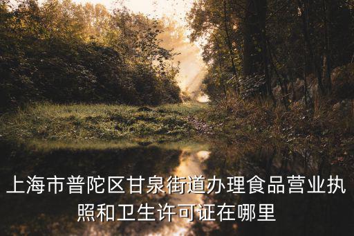 上海市普陀區甘泉街道辦理食品營業執照和衛生許可證在哪里