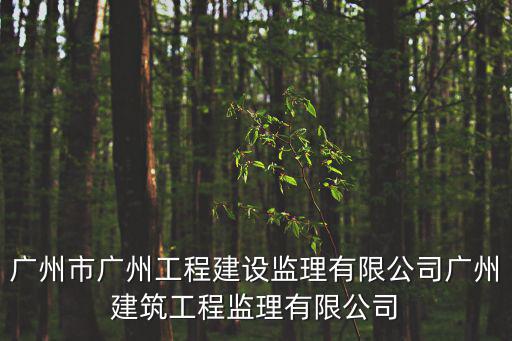 廣州市廣州工程建設(shè)監(jiān)理有限公司廣州建筑工程監(jiān)理有限公司