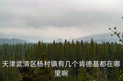 天津武清區(qū)楊村鎮(zhèn)有幾個肯德基都在哪里啊