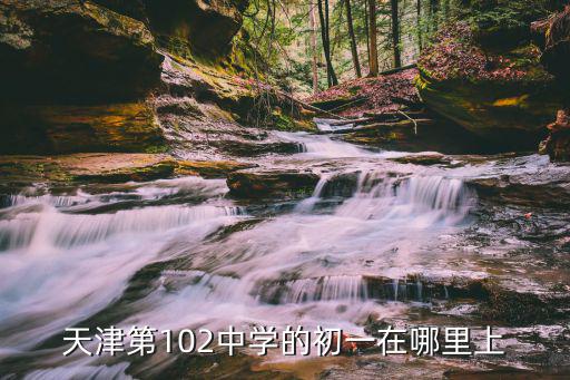 天津第102中學的初一在哪里上