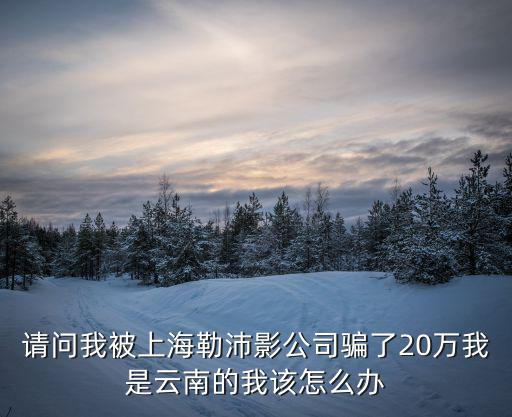 請問我被上海勒沛影公司騙了20萬我是云南的我該怎么辦