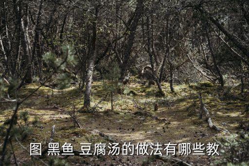 黑魚豆腐湯的做法,魚湯怎么做?