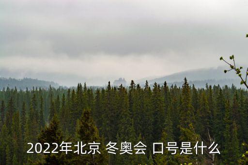 冬奧會口號,北京2022冬奧會主題口號出爐