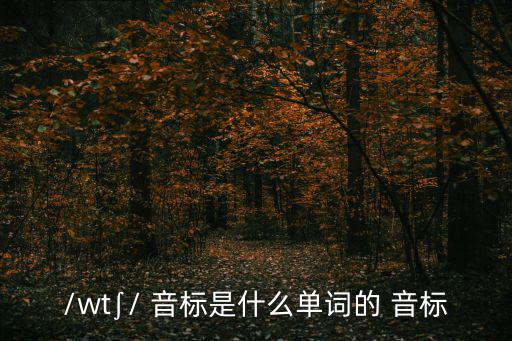 watch的音標,英文縮略語:watch表示警戒或看手表
