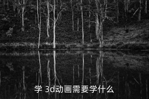 學(xué) 3d動(dòng)畫需要學(xué)什么