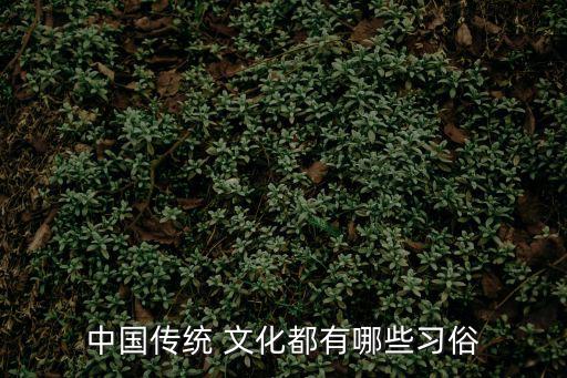 中國傳統 文化都有哪些習俗