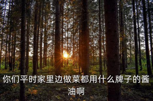 炒菜用什么醬油，大家都用什么牌子的醬油炒菜
