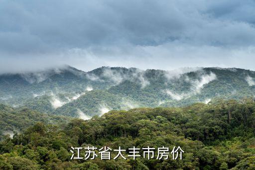 鹽城大豐房價現在如何啊，現在大豐九形道的房價是多少