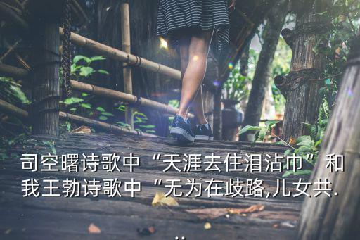  司空曙詩歌中“天涯去住淚沾巾”和我王勃詩歌中“無為在歧路,兒女共...