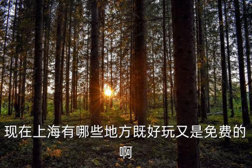 現在上海有哪些地方既好玩又是免費的啊