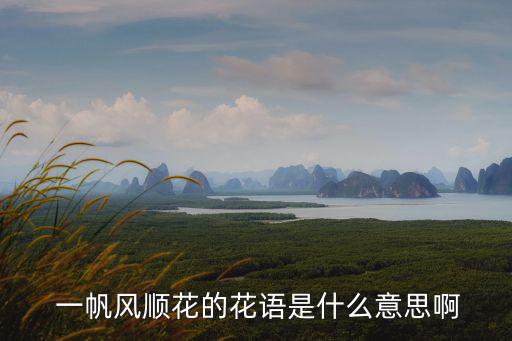 一帆風順花的寓意,一帆風順白鶴芋寓意吉祥