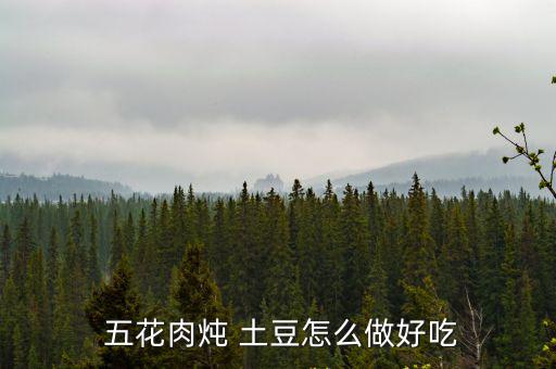 五花肉燉土豆,四分熟土豆炒五花肉紅燒肉