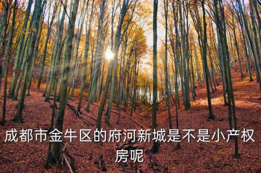 成都市金牛區的府河新城是不是小產權房呢