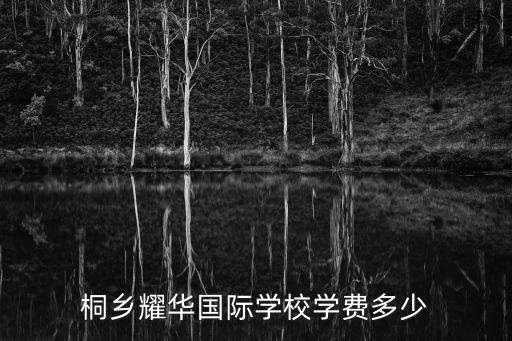 桐鄉耀華國際學校學費多少