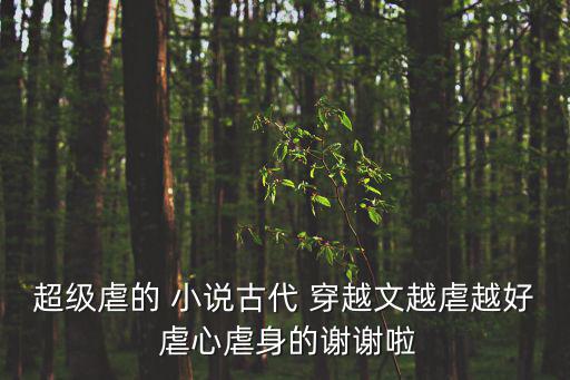 穿越虐心小說,穿越架空歷史小說作者:兩朵花的世界