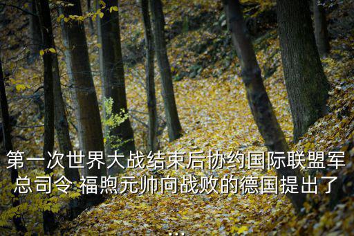福煦,約國總司令要求德軍15天內撤出所有被占土地