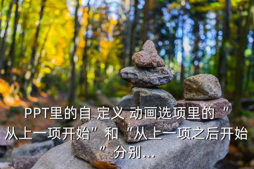 自定義動畫,從上一個動畫怎么做到?